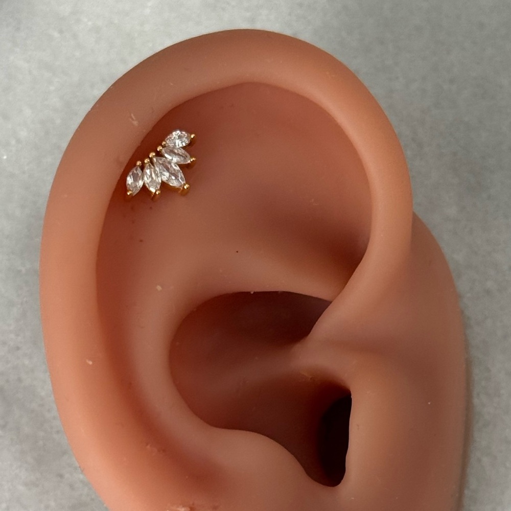 Gold Crystal Leaf Crown Cartilage Earring 

Brand New
